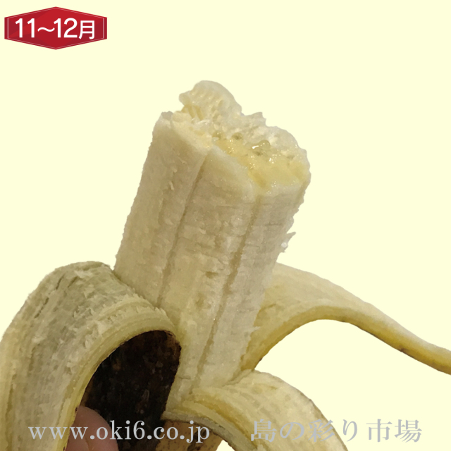沖縄産訳ありフルーツ[11～12月お届け：沖縄バナナ]