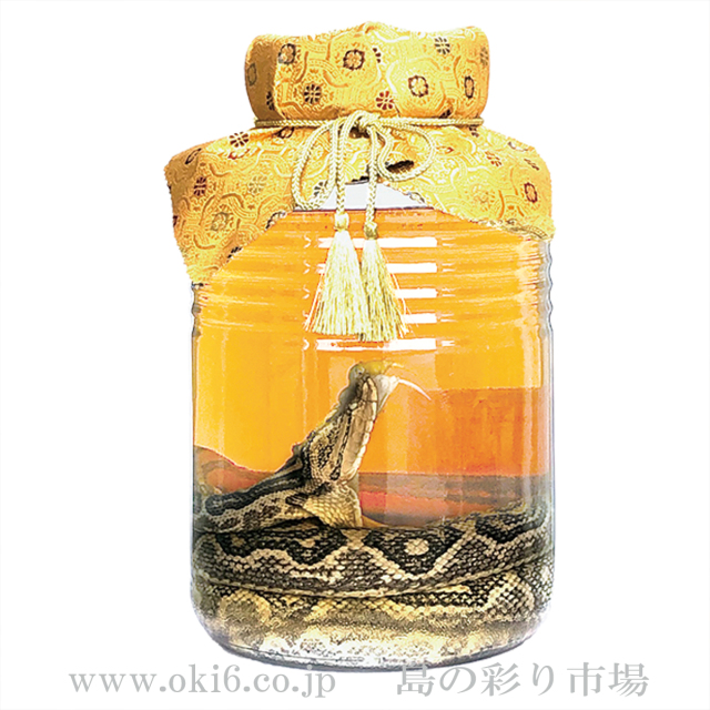 ハブ入りハブ酒(5.4L)