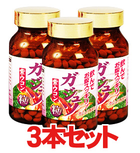 ガジュツ粒 100ｇ×３本セット　紫ウコン