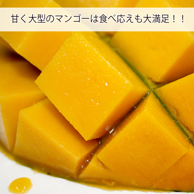 沖縄産キーツマンゴー送料無料