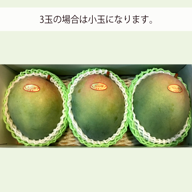 沖縄産キーツマンゴー　三玉入り箱