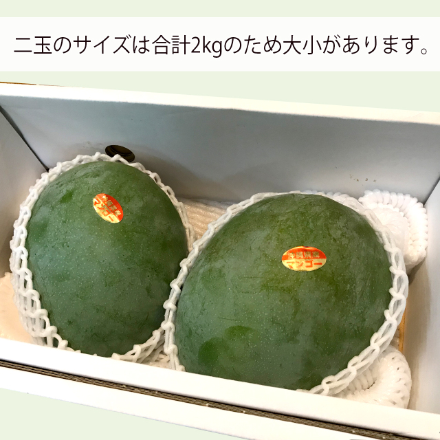 期間・数量限定】キーツマンゴー（2玉から3玉）約1.8kgから2kg