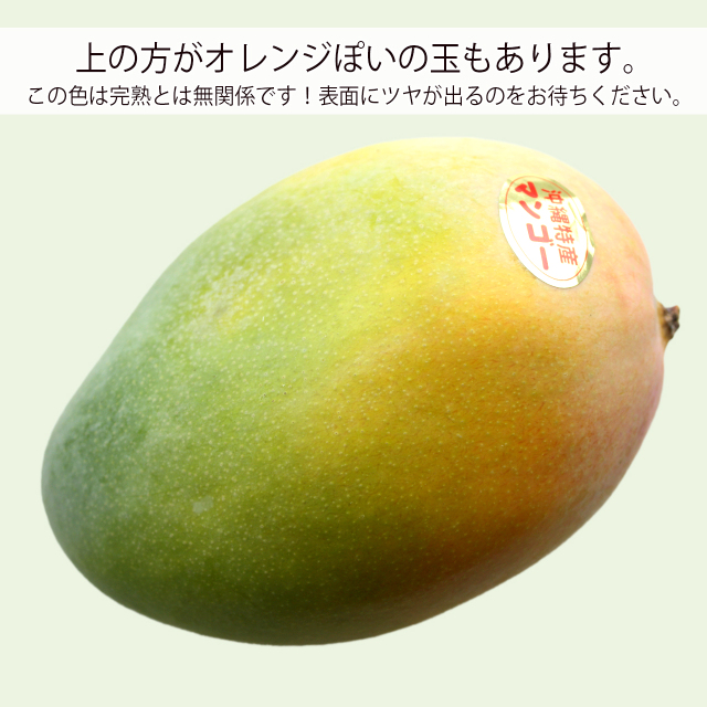 沖縄産キーツマンゴー　色が黄色いもの