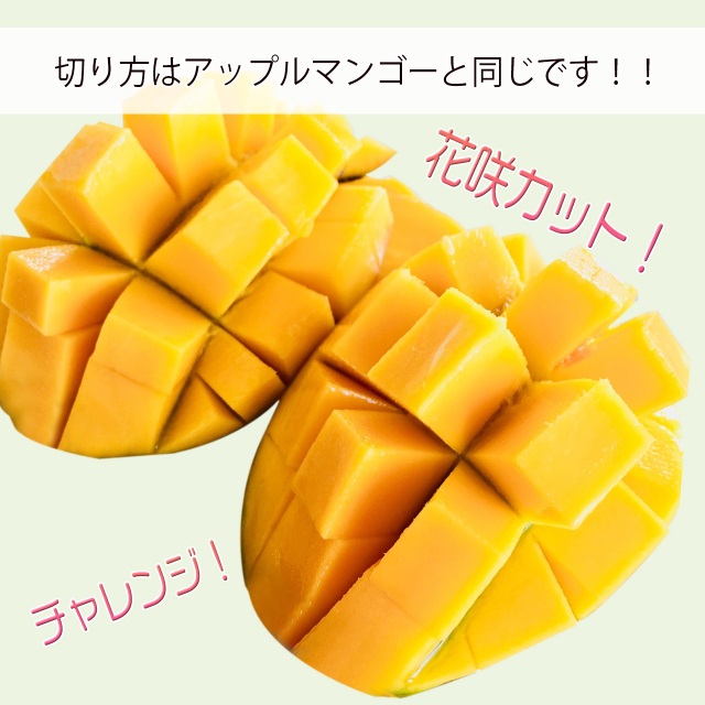 沖縄産キーツマンゴーカット例