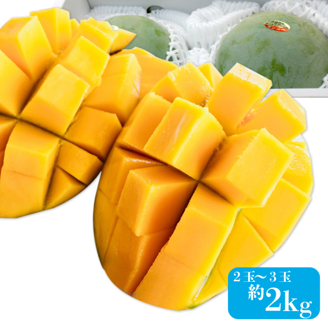 期間・数量限定】キーツマンゴー（2玉から3玉）約1.8kgから2kg