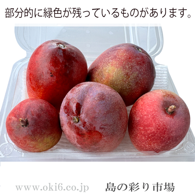 ミニマンゴー参考