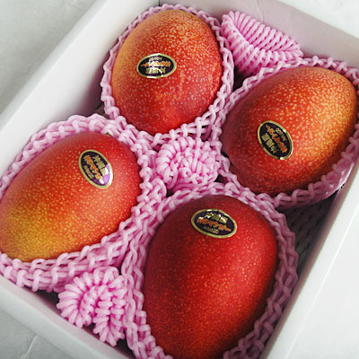 沖縄県産マンゴー d_mango80_00.jpg
