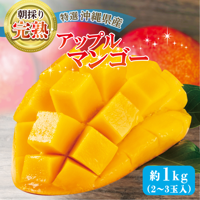 縄県産濃厚完熟アップルマンゴー約1kg