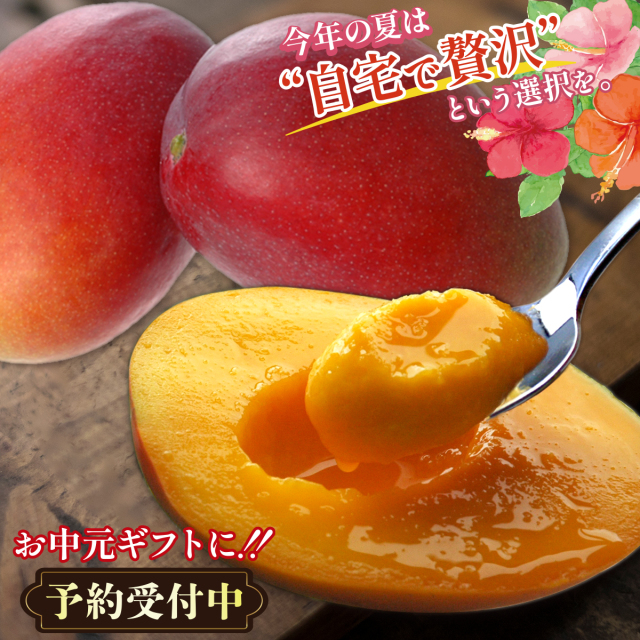 縄県産濃厚完熟アップルマンゴー