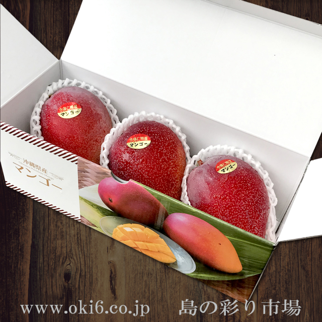 縄県産濃厚完熟アップルマンゴー約1kg