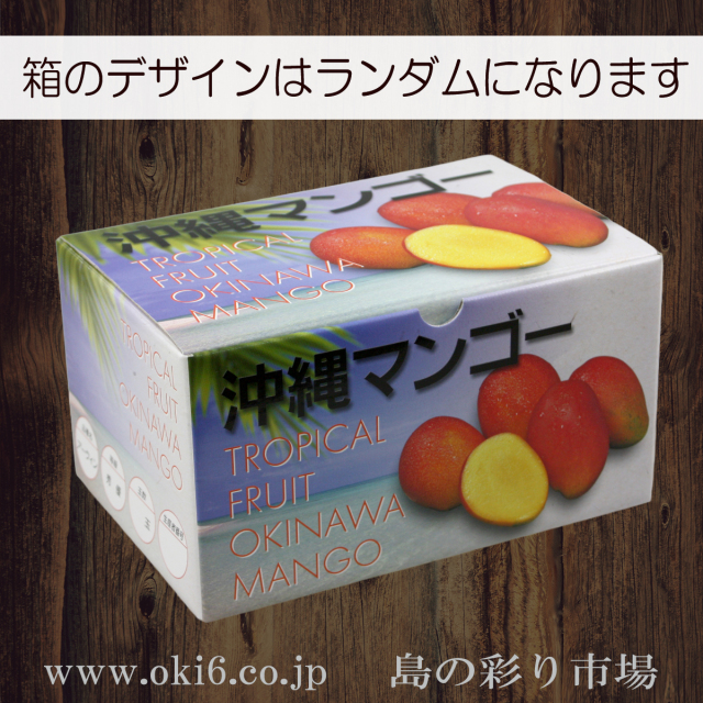 縄県産濃厚完熟アップルマンゴー約1kg