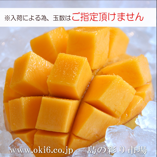 贈答向け】特撰沖縄県産濃厚完熟アップルマンゴー2kg ( 4玉から5玉