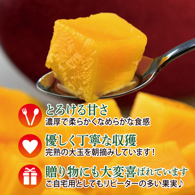 縄県産濃厚完熟アップルマンゴー