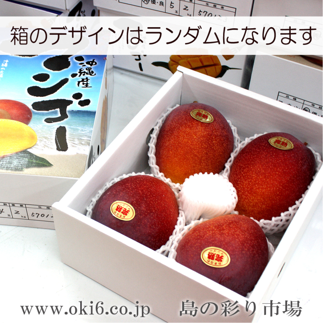 縄県産濃厚完熟アップルマンゴー約2kg