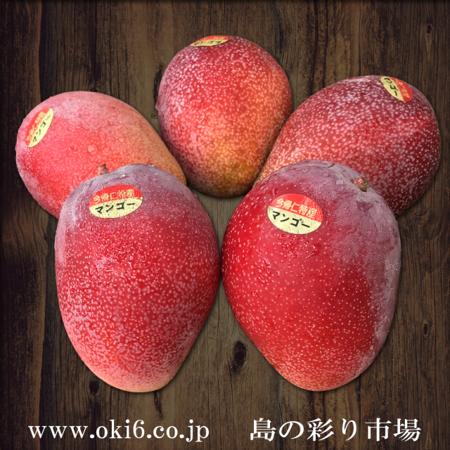 沖縄県産濃厚完熟アップルマンゴー約２kg