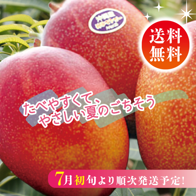 縄県産濃厚完熟アップルマンゴー