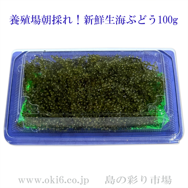 朝摘み　生海ぶどう