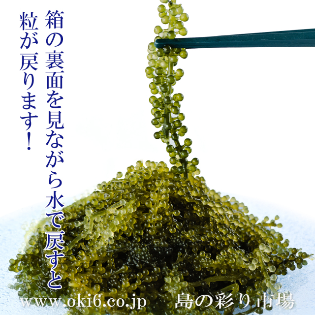 塩水漬けを戻した海ぶどう