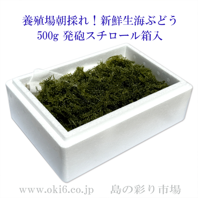 発砲スチロール