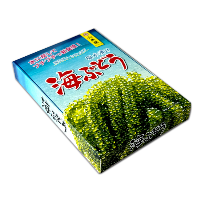 塩水漬　海ぶどう
