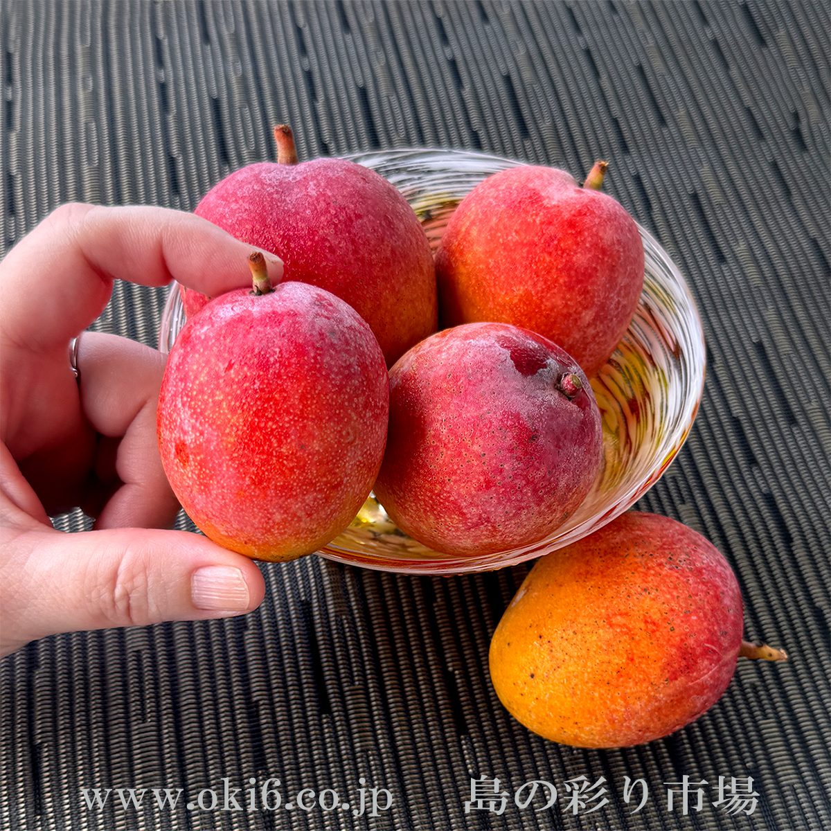 ミニマンゴー約2kg<チルド>