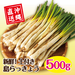 沖縄県産島らっきょ500g