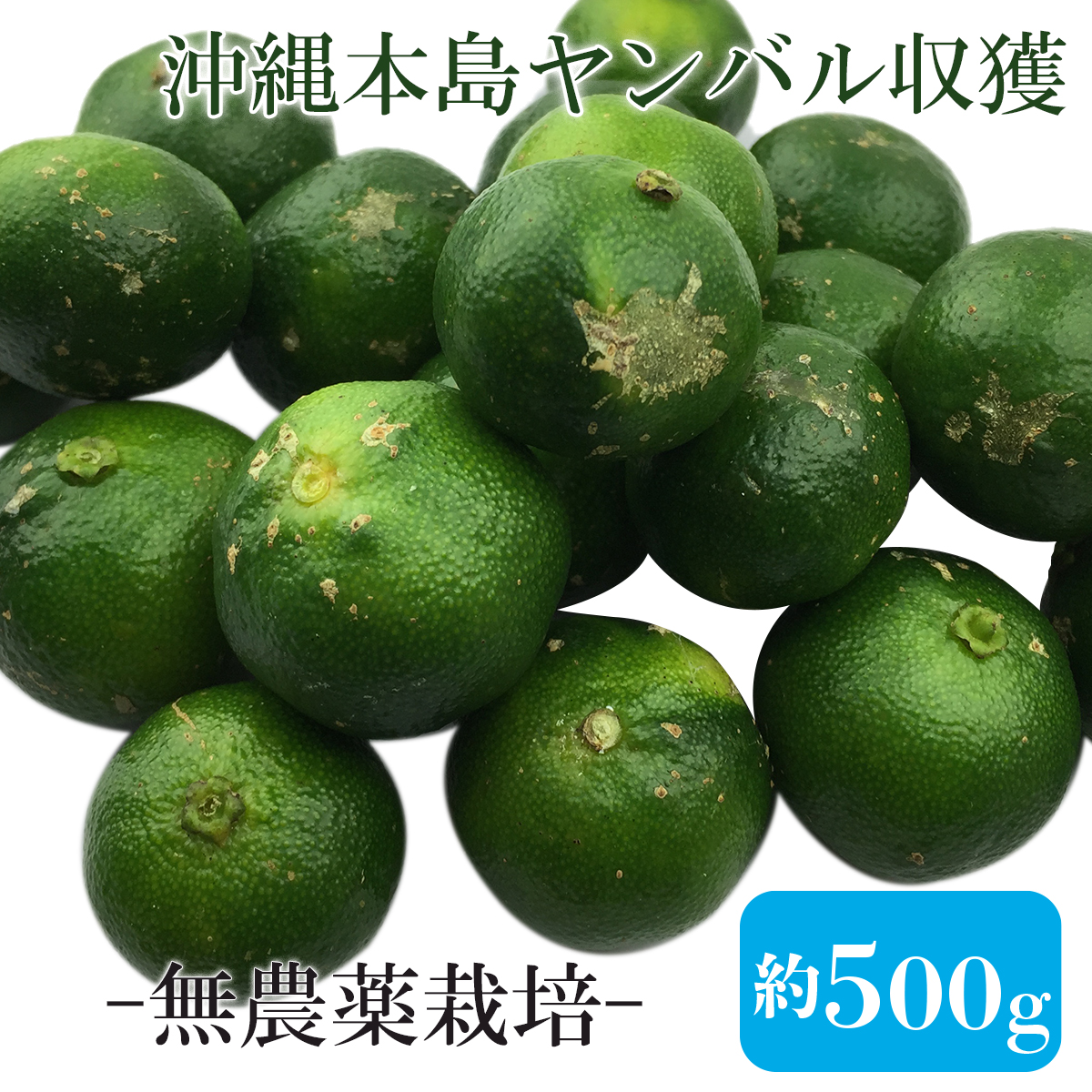 シークヮーサー果実青切500g