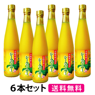 沖縄県産100％シークヮーサー 500ml×6本セット）