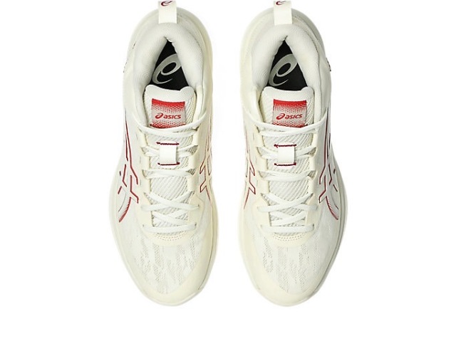 SALE!】1063A096-750/ ASICS GEL HOOP V17 / アシックス ゲルフープ
