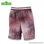 22878/SESAME STREET PAISLEY MIX SHORTS PINK [ジュニア]/セサミストリート/ハーフパンツ/パンツ/BFIVE/ビーファイブ/ジュニア/バスケットボール