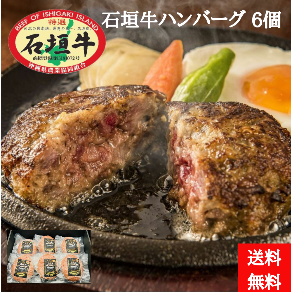 石垣牛ハンバーグ120g×6個（送料無料）
