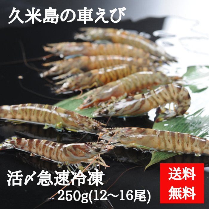 久米島産車えび　250ｇ