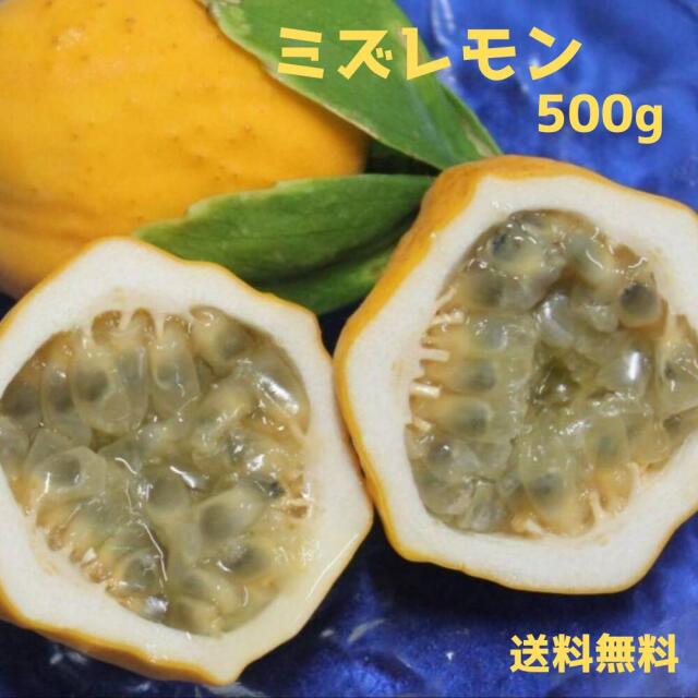 予約販売】沖縄県産ミズレモン 500g（約6個）（送料無料）