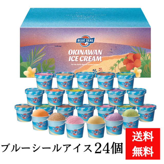 ブルーシールアイスクリームギフト 24個入り　4954337402982