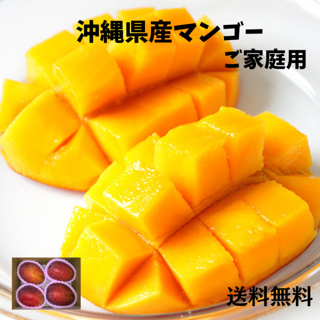 ご家庭用マンゴー　1.4kg（3～6玉）（送料無料）