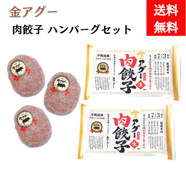 金アグー　肉餃子2パック　ハンバーグ3個セット【送料無料】