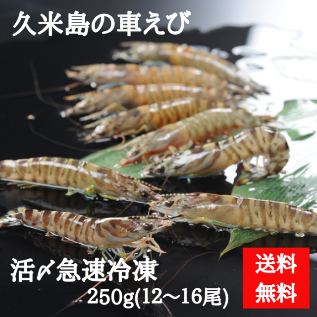 久米島産車えび　250ｇ