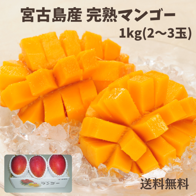 宮古島産完熟マンゴー1kg（2～3玉）