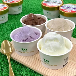 宮平ジェラート　８個入り