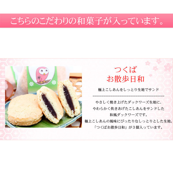 和風ダックワーズつくばお散歩日和