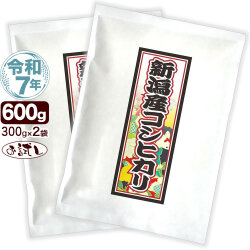 令和7年産 新潟産 コシヒカリ 花火 お試し 300g×2袋 送料無料 ゆうパケット発送