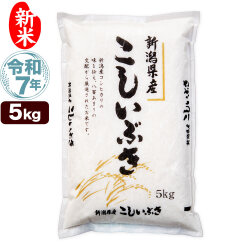 新米 令和7年産 新潟産 こしいぶき 5kg 米