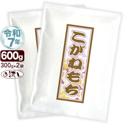 令和7年産 新潟産 こがねもち米 お試しセット 300g×2袋 送料無料 ゆうパケット発送