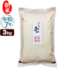 新米 令和7年産 新潟産 いのちの壱 3kg 米