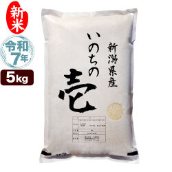 新米 令和7年産 新潟産 いのちの壱 5kg 米