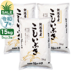 令和7年産 新潟産 こしいぶき 15kg(5kg×3袋) 米 盛夏セール
