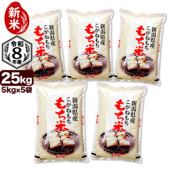 新米 令和8年産 新潟県産こがねもち米 25kg（5kg×5袋） 白米