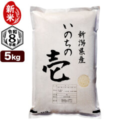 新米 令和8年産 新潟産 いのちの壱 5kg 米