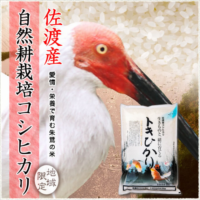 地域限定】令和7年産新潟県佐渡産トキひかり白米 9kg（4.5kg×2袋）