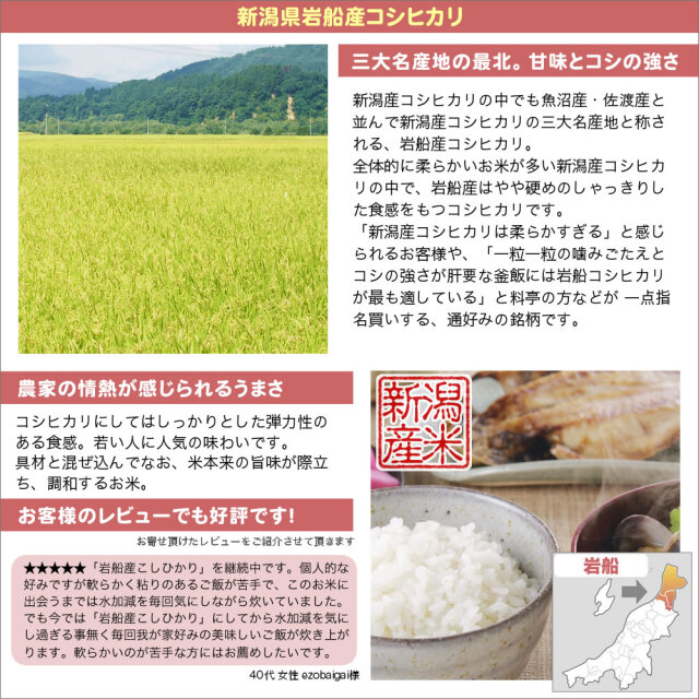 地域限定】令和7年産新潟県岩船産コシヒカリ 10kg